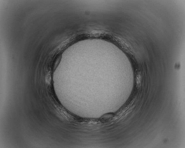 X0000098001204200804211122