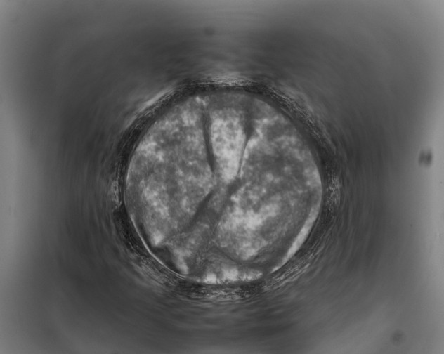 X0000098001205200804211122