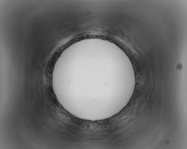 X0000098001207200804211122