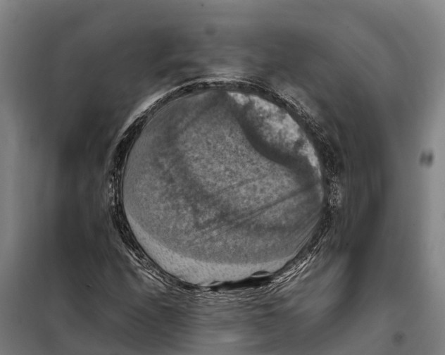 X0000098001208200804211122