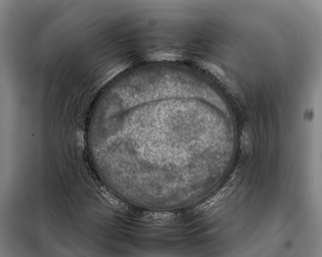 X0000098001209200804211122