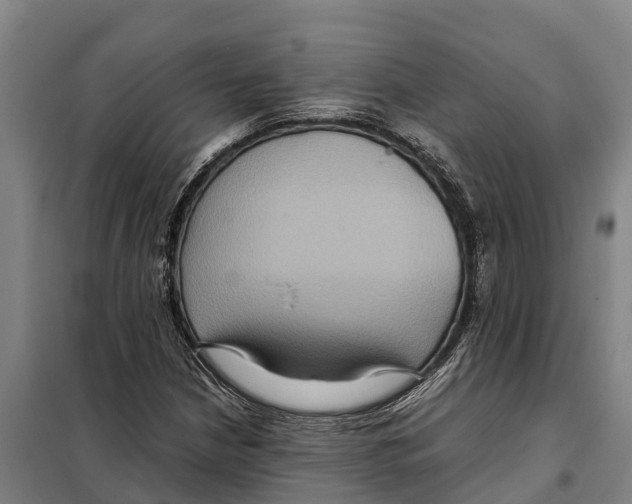 X0000098001210200804211122