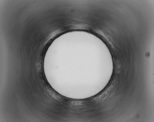 X0000098001211200804211122