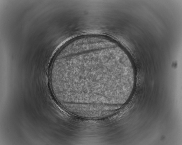 X0000098001212200804211122