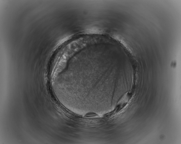 X0000098001213200804211122