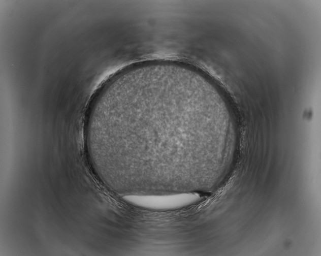 X0000098001214200804211122