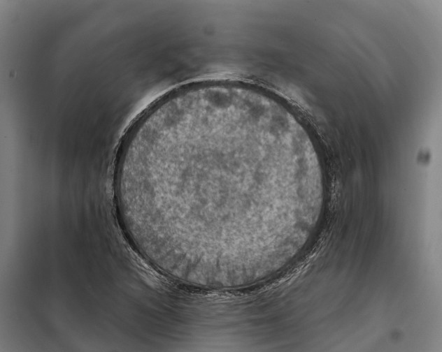 X0000098001216200804211122