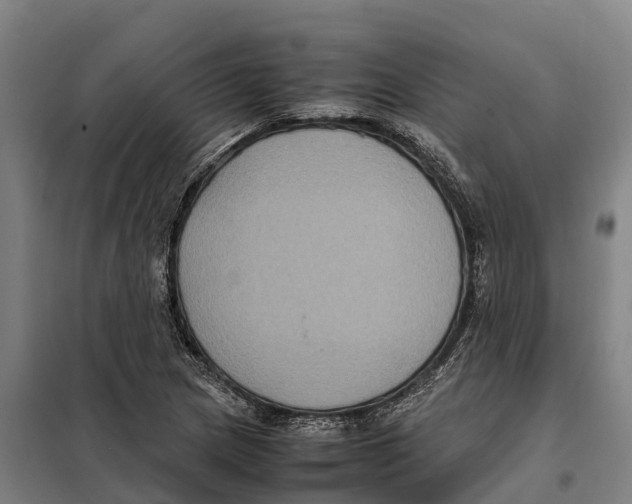 X0000098001217200804211122