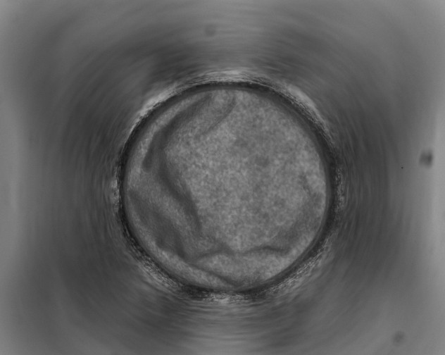X0000098001218200804211122