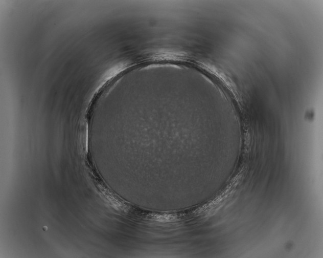 X0000098001219200804211122
