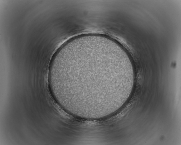 X0000098001220200804211122