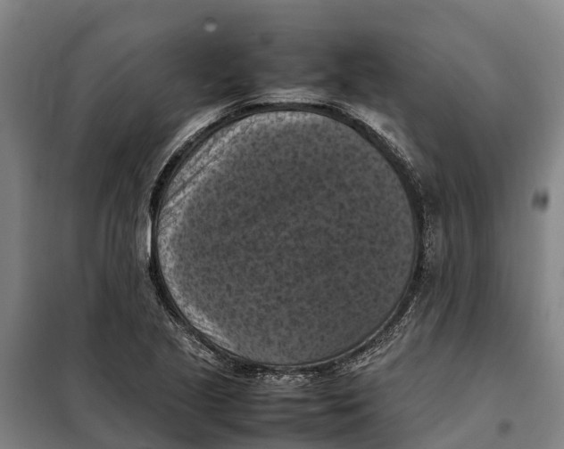 X0000098001221200804211122