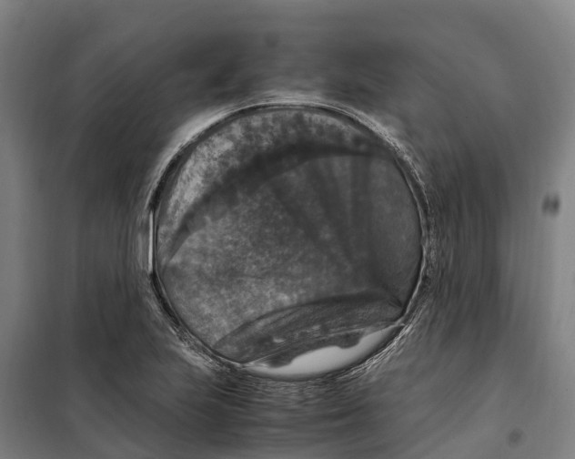 X0000098001223200804211122