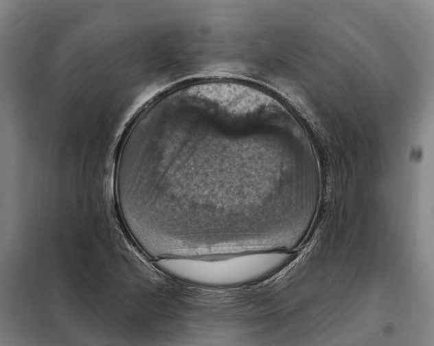 X0000098001224200804211122