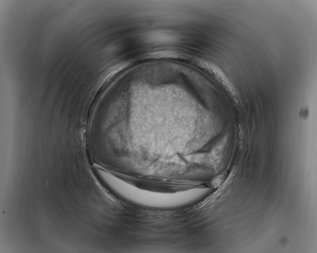 X0000098001225200804211122