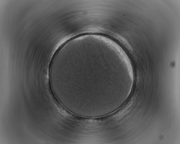 X0000098001226200804211122