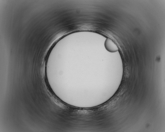 X0000098001227200804211122