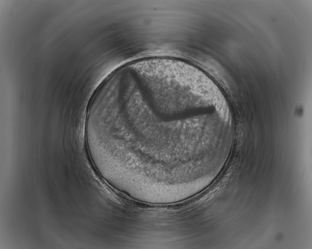 X0000098001228200804211122