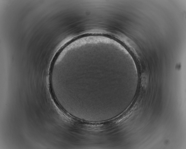 X0000098001229200804211122