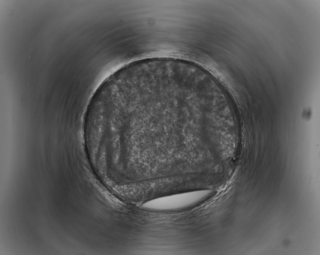 X0000098001230200804211122