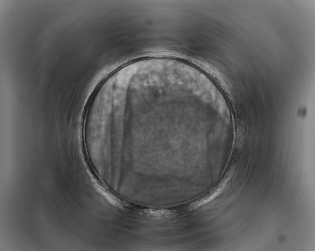 X0000098001231200804211122