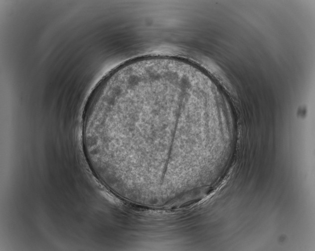 X0000098001232200804211122