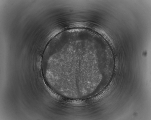 X0000098001233200804211122
