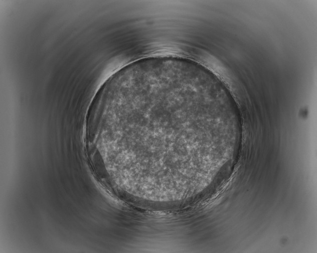 X0000098001234200804211122