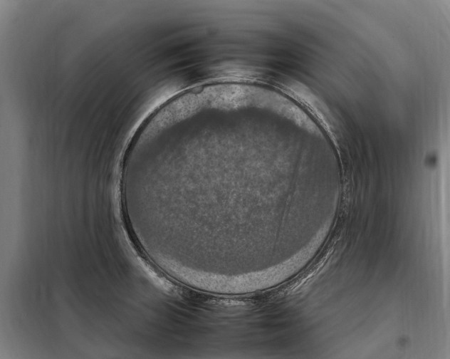 X0000098001235200804211122