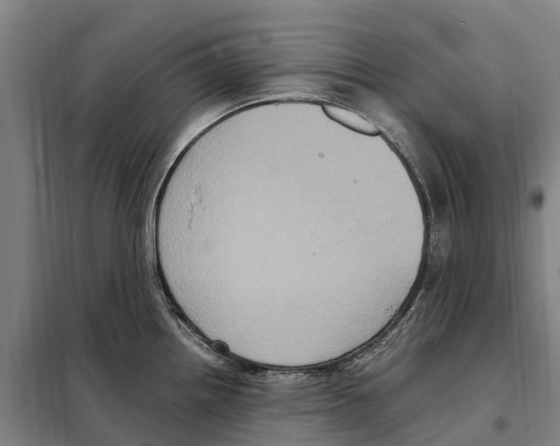 X0000098001242200804211122