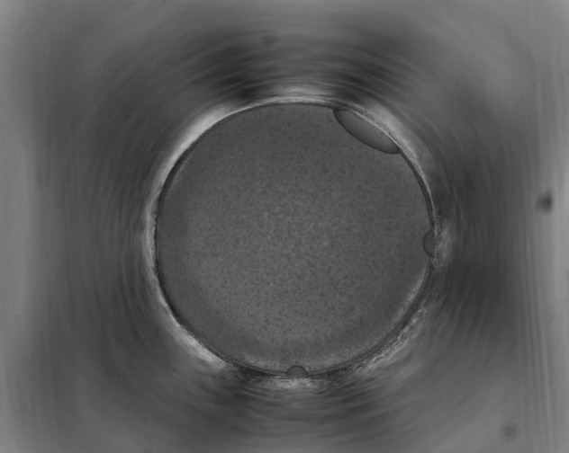 X0000098001243200804211122