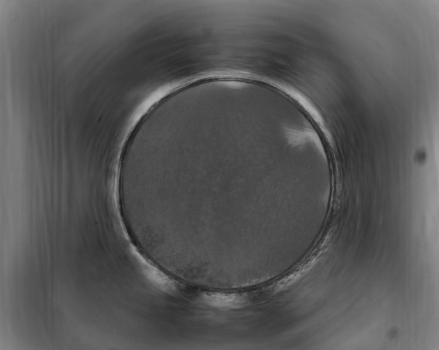X0000098001245200804211122
