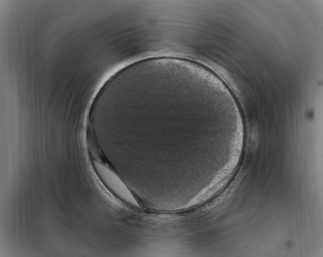 X0000098001246200804211122