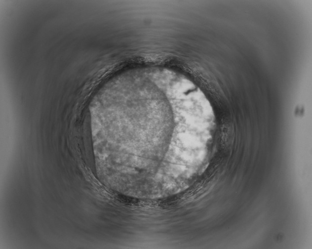 X0000098001249200804211122