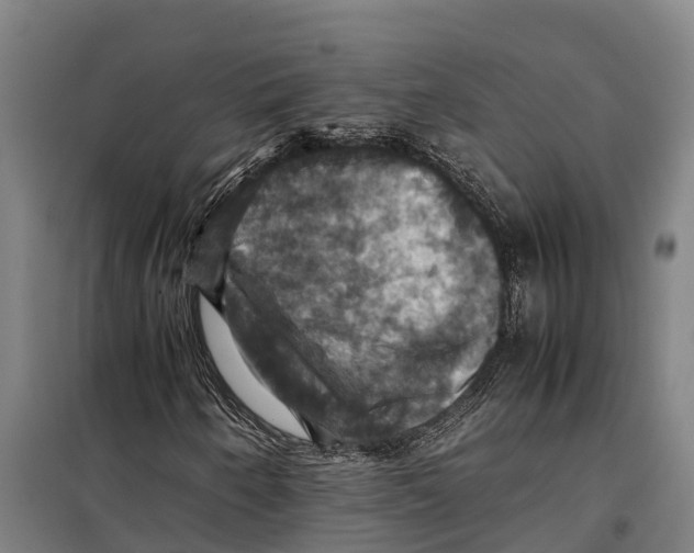 X0000098001250200804211122