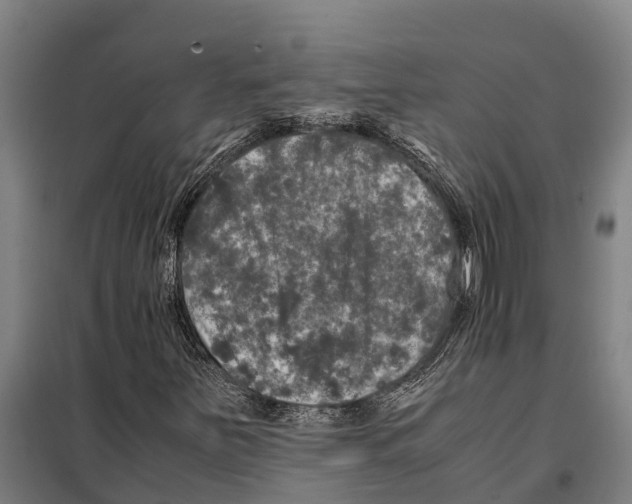 X0000098001251200804211122