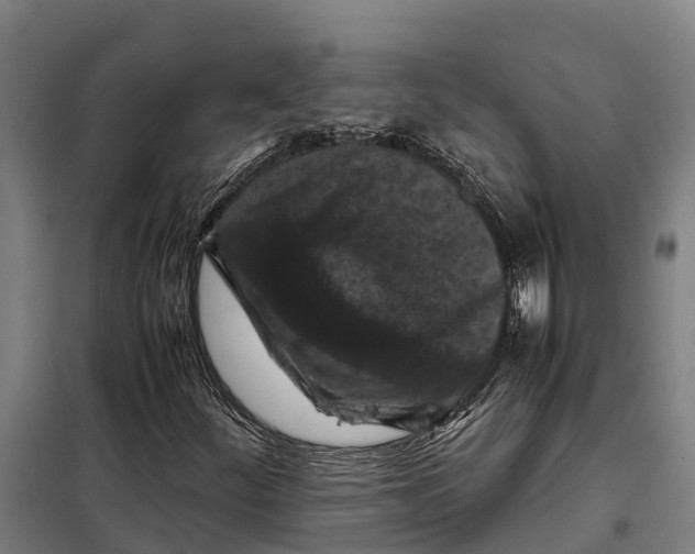 X0000098001252200804211122