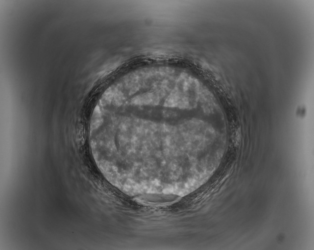 X0000098001253200804211121