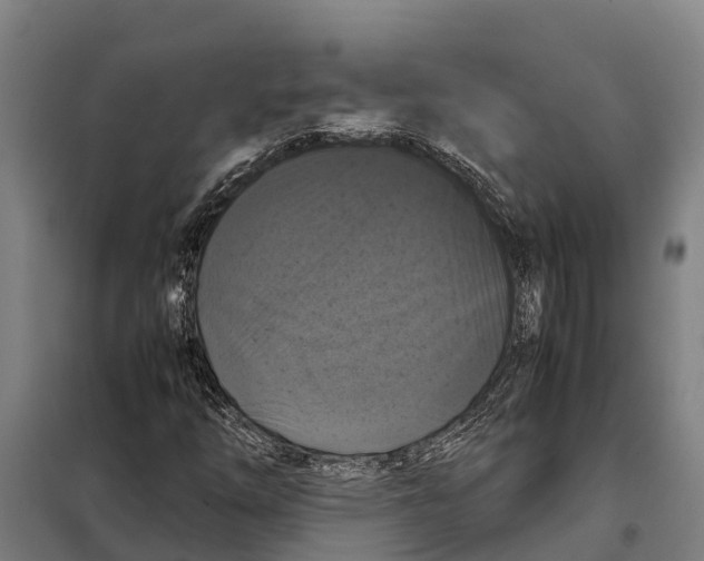 X0000098001254200804211121