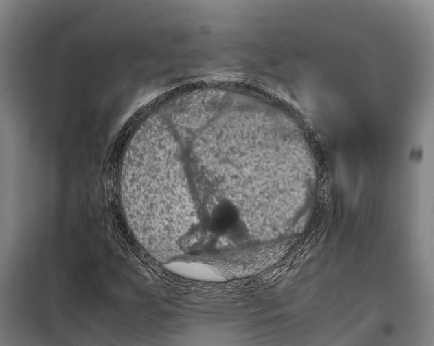 X0000098001255200804211121