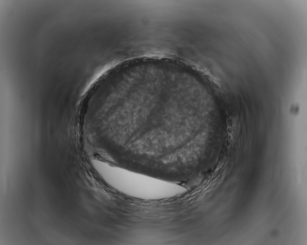 X0000098001256200804211121