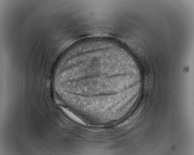 X0000098001257200804211121