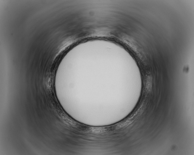 X0000098001258200804211121