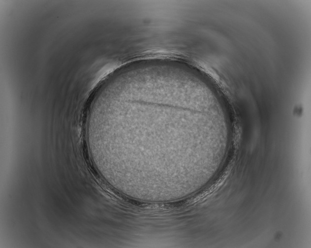 X0000098001259200804211121