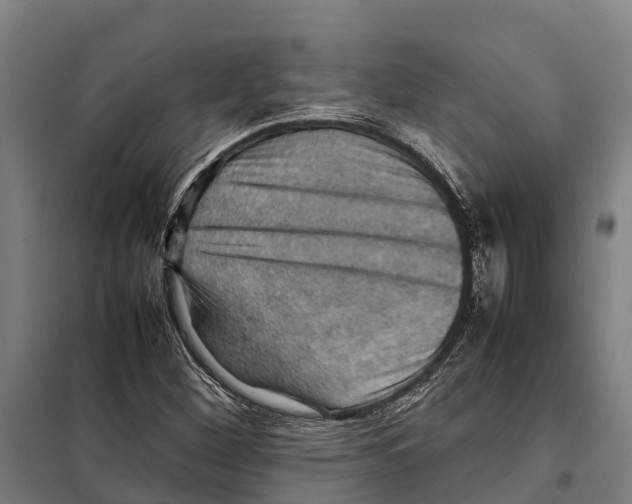 X0000098001260200804211121
