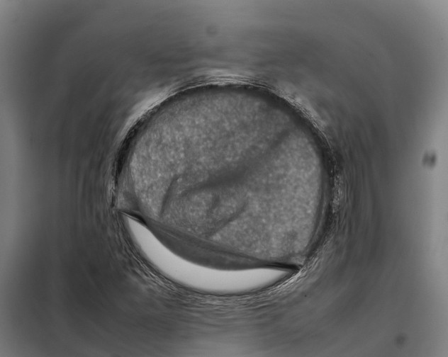 X0000098001261200804211121