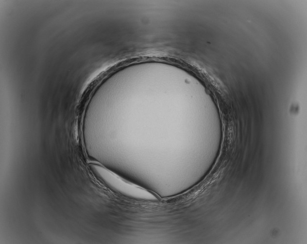 X0000098001262200804211121