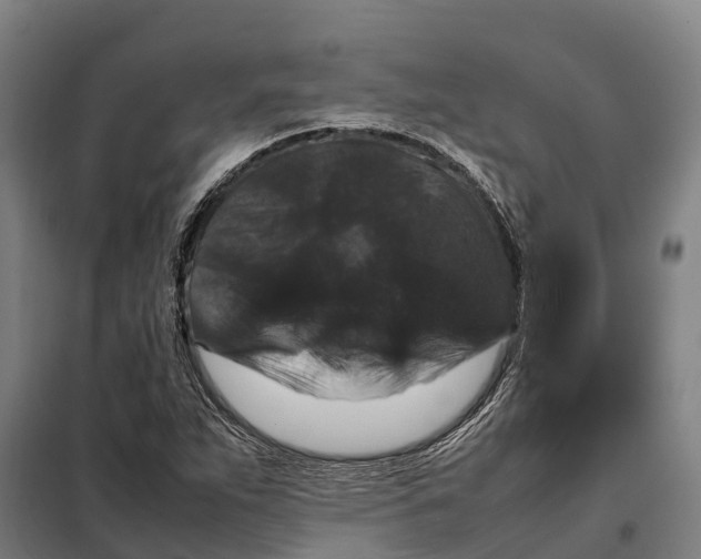 X0000098001263200804211121