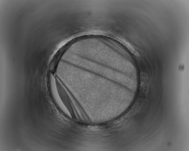 X0000098001264200804211121