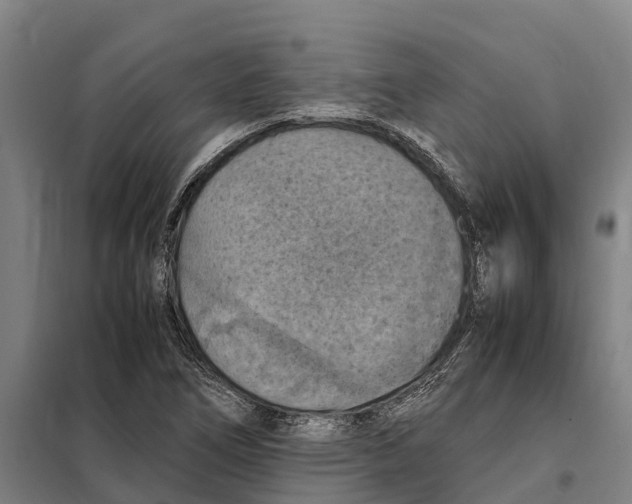 X0000098001266200804211121
